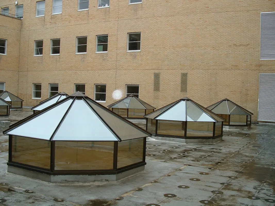 Flat Roof Skylights Bayswater